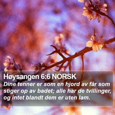 Høysangen 6:6 NORSK Bible Verse Image