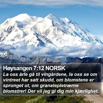 Høysangen 7:12 NORSK Bible Verse Image