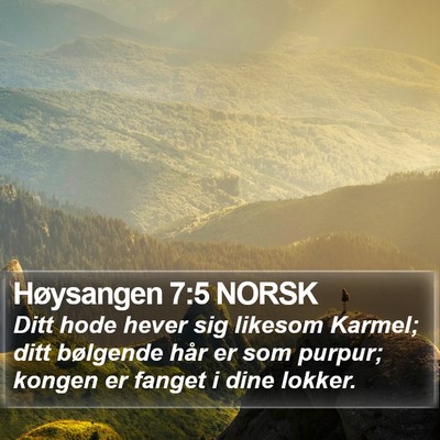 Høysangen 7:5 NORSK Bible Verse Image