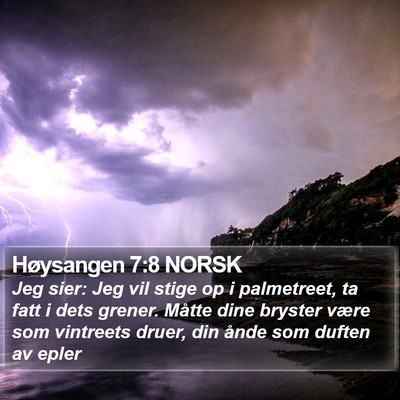 Høysangen 7:8 NORSK Bible Verse Image