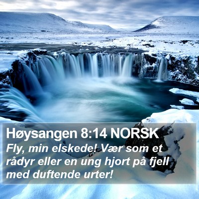 Høysangen 8:14 NORSK Bible Verse Image
