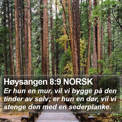 Høysangen 8:9 NORSK Bible Verse Image