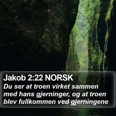 Jakob 2:22 NORSK Bible Verse Image