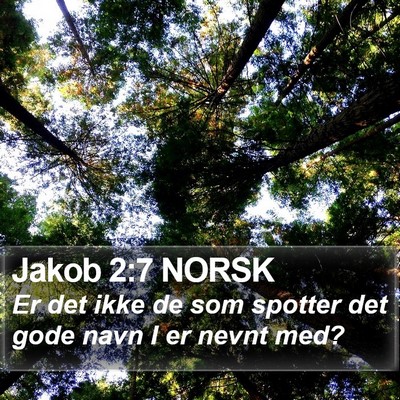 Jakob 2:7 NORSK Bible Verse Image
