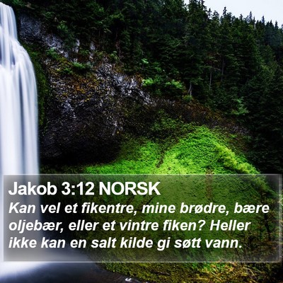 Jakob 3:12 NORSK Bible Verse Image