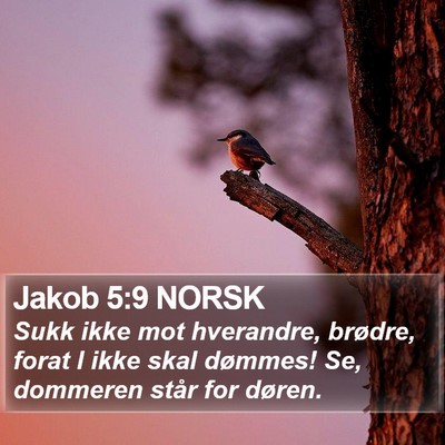 Jakob 5:9 NORSK Bible Verse Image