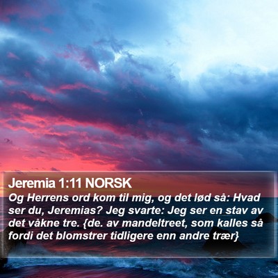 Jeremia 1:11 NORSK Bible Verse Image
