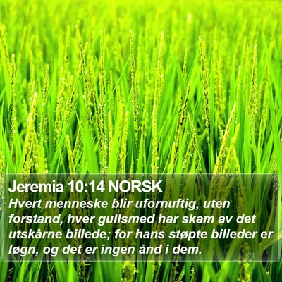 Jeremia 10:14 NORSK Bible Verse Image