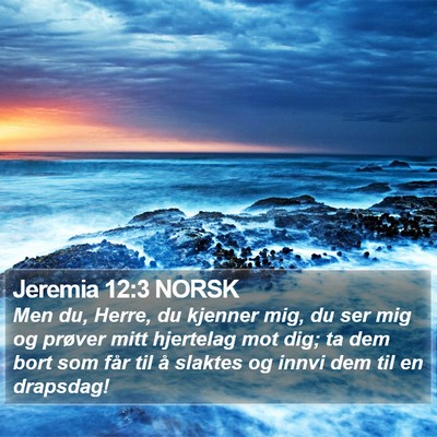 Jeremia 12:3 NORSK Bible Verse Image
