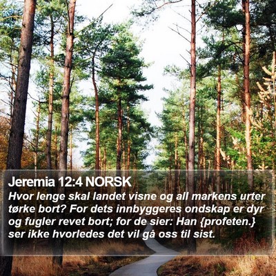 Jeremia 12:4 NORSK Bible Verse Image