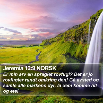 Jeremia 12:9 NORSK Bible Verse Image
