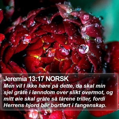 Jeremia 13:17 NORSK Bible Verse Image
