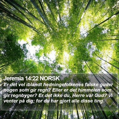 Jeremia 14:22 NORSK Bible Verse Image