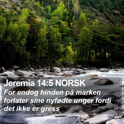 Jeremia 14:5 NORSK Bible Verse Image