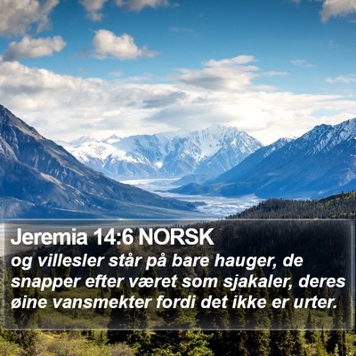 Jeremia 14:6 NORSK Bible Verse Image