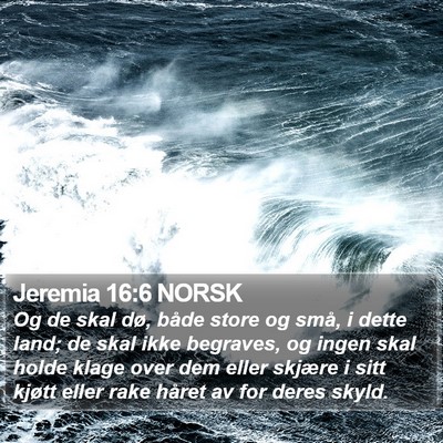Jeremia 16:6 NORSK Bible Verse Image