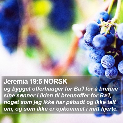 Jeremia 19:5 NORSK Bible Verse Image