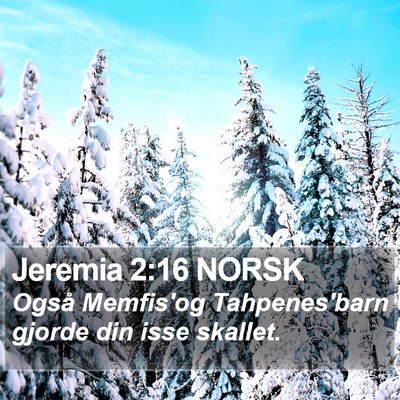 Jeremia 2:16 NORSK Bible Verse Image