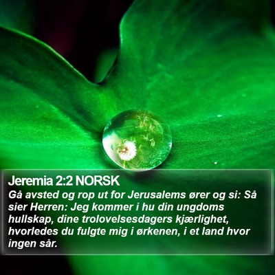 Jeremia 2:2 NORSK Bible Verse Image