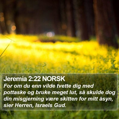 Jeremia 2:22 NORSK Bible Verse Image