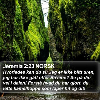 Jeremia 2:23 NORSK Bible Verse Image
