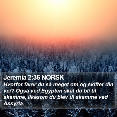 Jeremia 2:36 NORSK Bible Verse Image