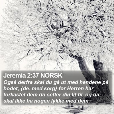 Jeremia 2:37 NORSK Bible Verse Image