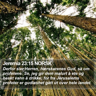 Jeremia 23:15 NORSK Bible Verse Image