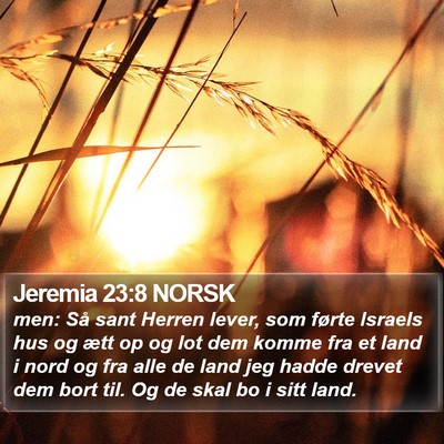 Jeremia 23:8 NORSK Bible Verse Image