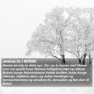 Jeremia 24:1 NORSK Bible Verse Image