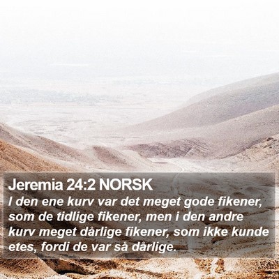 Jeremia 24:2 NORSK Bible Verse Image