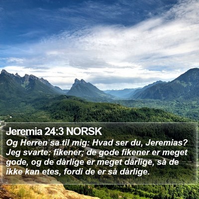 Jeremia 24:3 NORSK Bible Verse Image