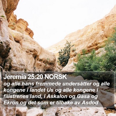 Jeremia 25:20 NORSK Bible Verse Image