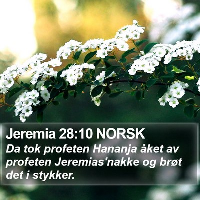Jeremia 28:10 NORSK Bible Verse Image