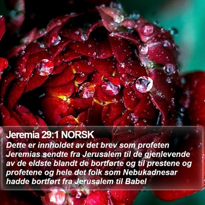 Jeremia 29:1 NORSK Bible Verse Image