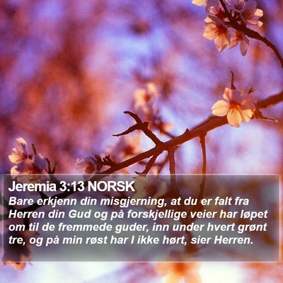 Jeremia 3:13 NORSK Bible Verse Image