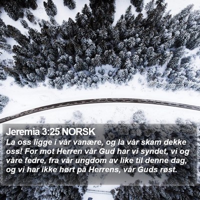 Jeremia 3:25 NORSK Bible Verse Image