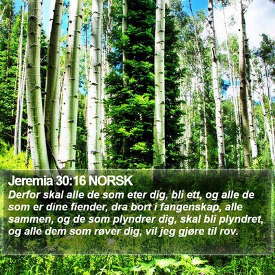 Jeremia 30:16 NORSK Bible Verse Image