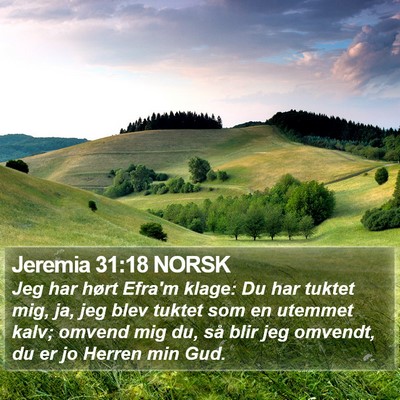 Jeremia 31:18 NORSK Bible Verse Image