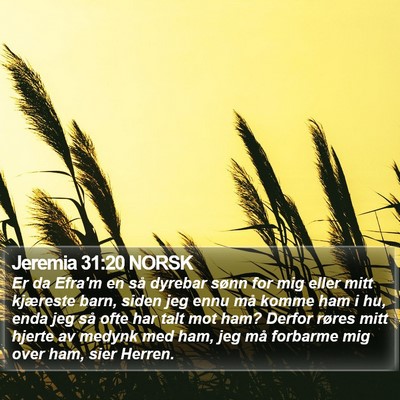 Jeremia 31:20 NORSK Bible Verse Image