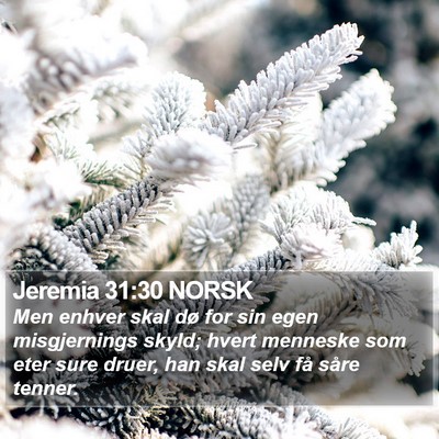 Jeremia 31:30 NORSK Bible Verse Image