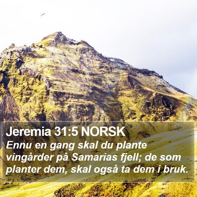 Jeremia 31:5 NORSK Bible Verse Image