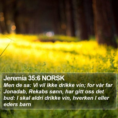 Jeremia 35:6 NORSK Bible Verse Image