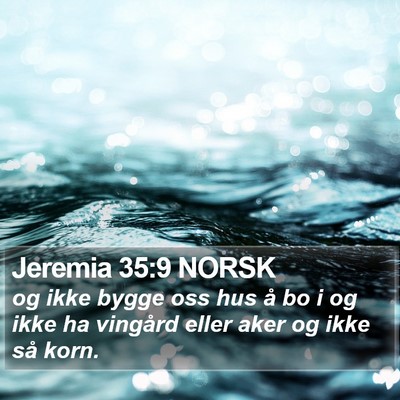 Jeremia 35:9 NORSK Bible Verse Image
