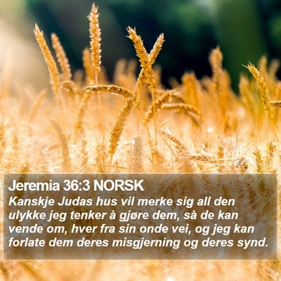 Jeremia 36:3 NORSK Bible Verse Image