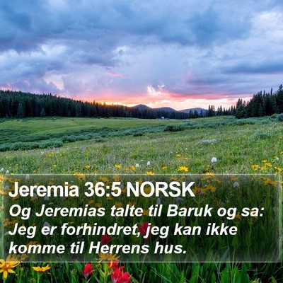Jeremia 36:5 NORSK Bible Verse Image