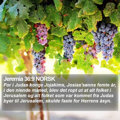 Jeremia 36:9 NORSK Bible Verse Image
