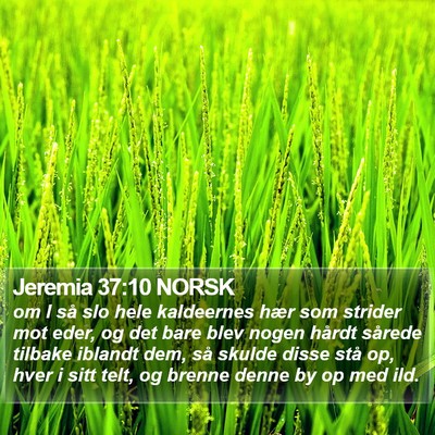 Jeremia 37:10 NORSK Bible Verse Image