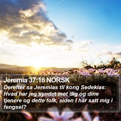 Jeremia 37:18 NORSK Bible Verse Image