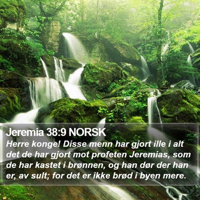 Jeremia 38:9 NORSK Bible Verse Image